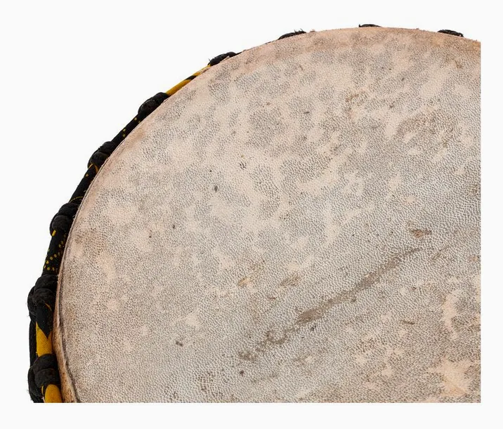 African Percussion MDJ103 Djembe, su sfondo neutro, photo 4