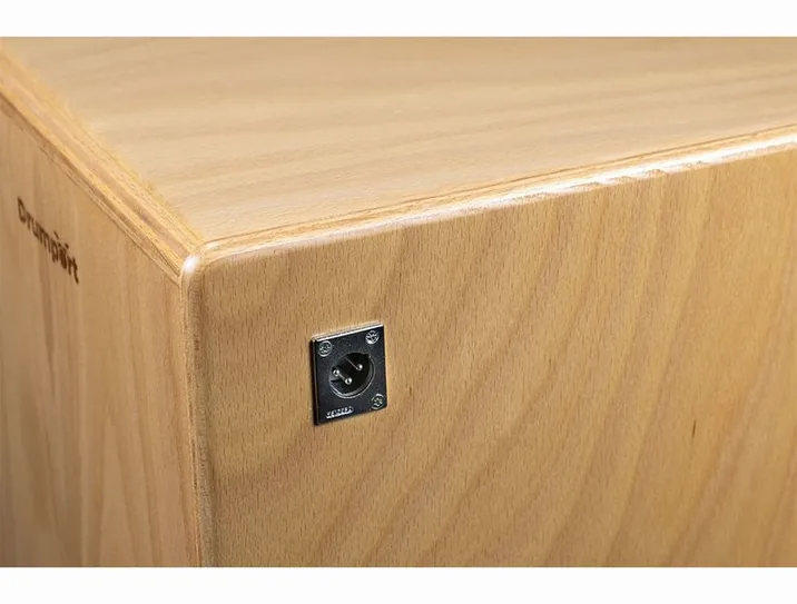 Drumport StompTech Plug 'n Play Cajon Tineo, su sfondo neutro, photo 3