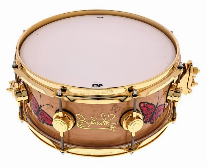 DW 13"x5.5" Sheila E. Icon Snare, vista di tre quarti, photo 4