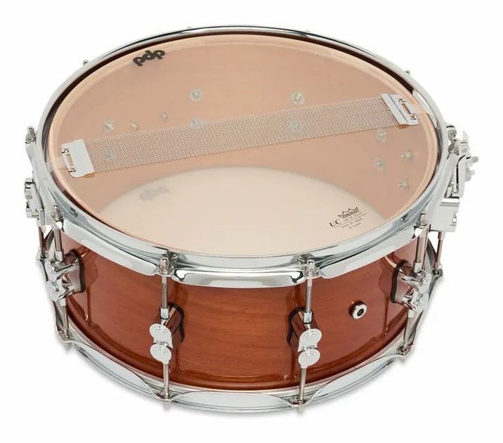 DW PDP 14"x6,5" CM Exotic HM, su sfondo neutro, photo 4