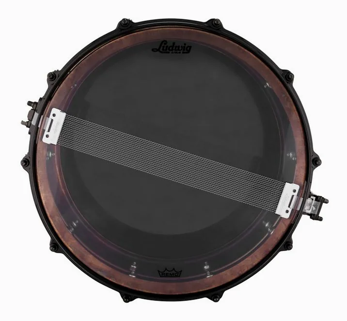 Ludwig 14"x6,5" Raw Ham. Copper Phon., vista dall'alto, photo 4