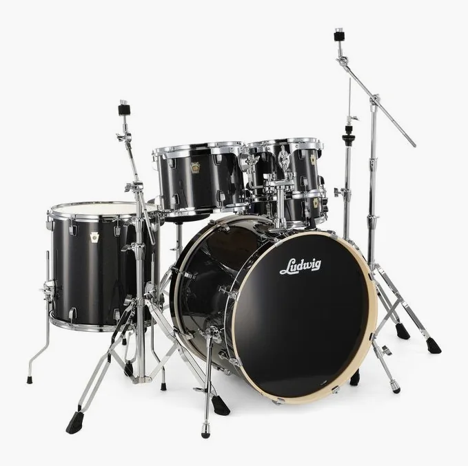 Ludwig Evolution 20" Moon Dust, vista dall'alto, photo 3