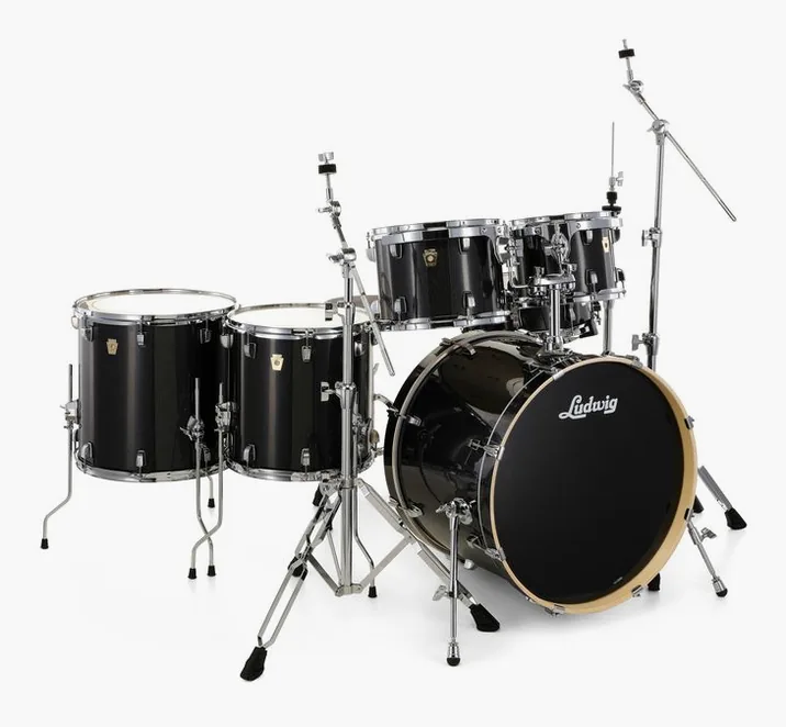 Ludwig Evolution 22" 6pc Moon Dust, su sfondo neutro, photo 3