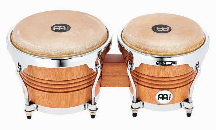 Meinl WB200SNT-M Bongoset, su sfondo neutro, photo 2