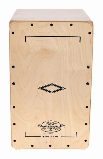 Pepote Percus Cajon, su sfondo neutro, photo 2