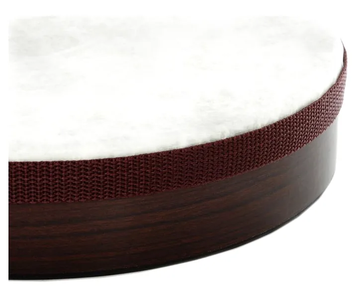 Remo 10"x02" Frame Drum, vista frontale, photo 4