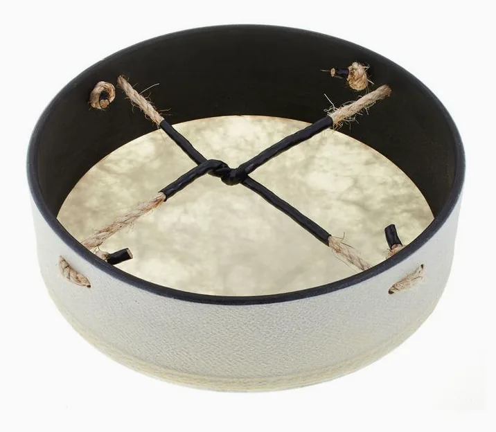 Remo Buffalo Drum 12"x3,5", vista frontale, photo 3