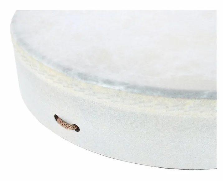 Remo Buffalo Drum 16"x3,5", su sfondo neutro, photo 4