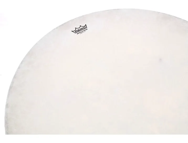 Remo Buffalo Drum 22"x3,5", vista di lato, photo 4