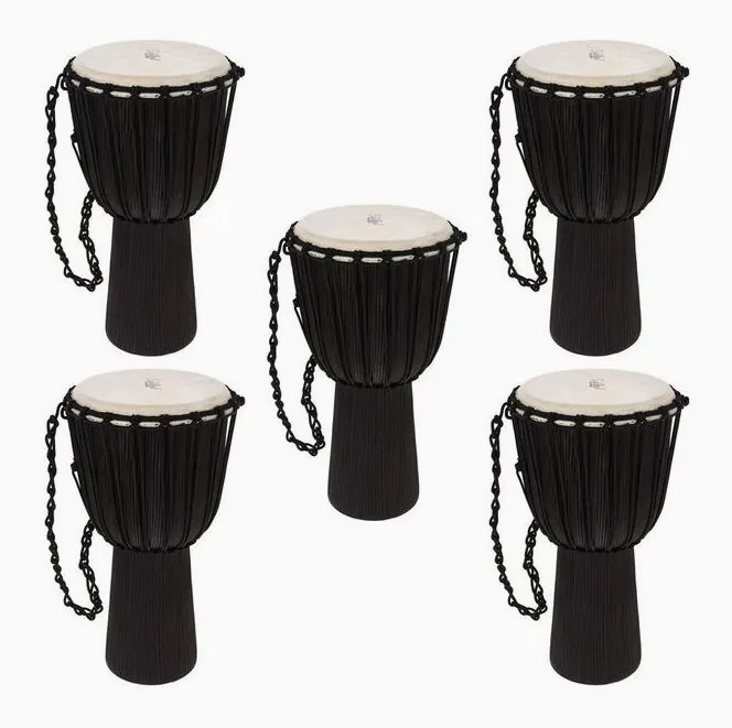 Schalloch 700.L 12" Djembe School Set, su sfondo neutro