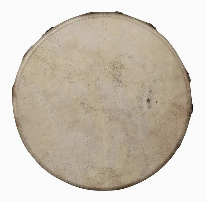 Sela 14" Shaman Drum Buffalo, su sfondo neutro, photo 2