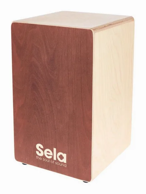 Sela SE 162 Primera Brown, dettaglio frontale