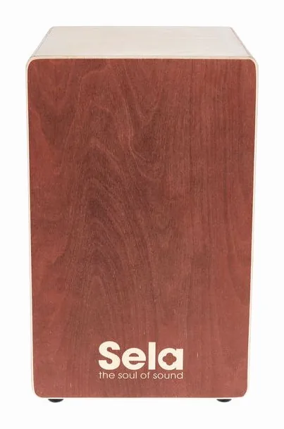 Sela SE 162 Primera Brown, vista frontale, photo 2