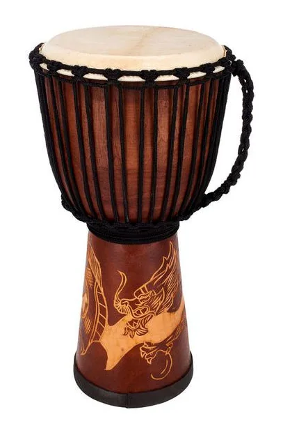 Terre Djembe Carved Dragon 60cm, di fronte su sfondo neutro
