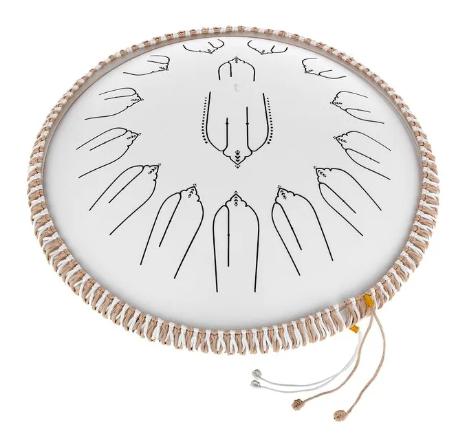 Thomann Tongue Drum 14" EQ C-Major, vista frontale