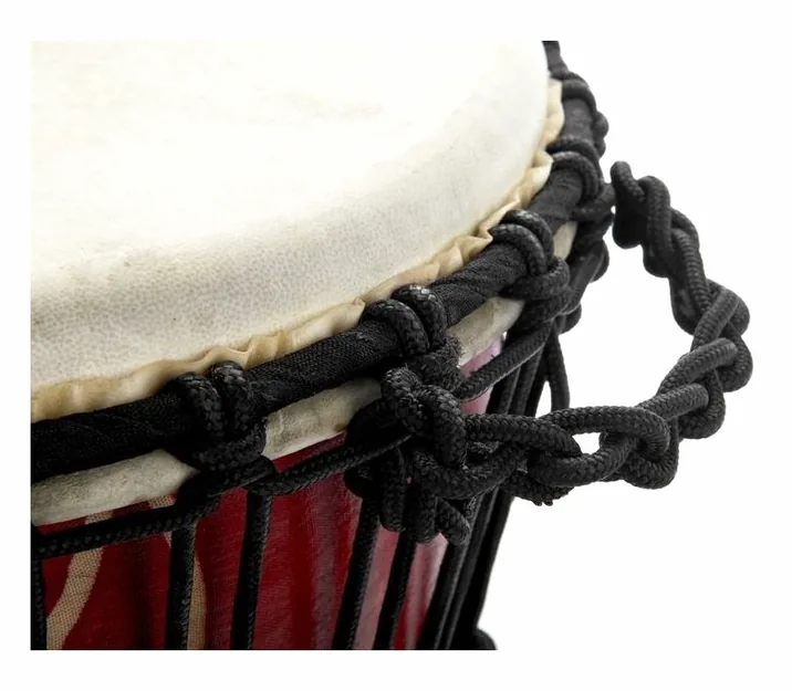 Toca 12" Synergy Freestyle Djembe, su sfondo neutro, photo 3